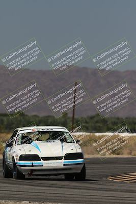 media/Oct-12-2025-Lucky Dog Racing (Sun) [[8adb5568ea]]/2-Second Stint/6-Turn 16/